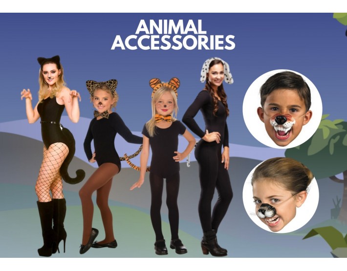 Animal Accessories